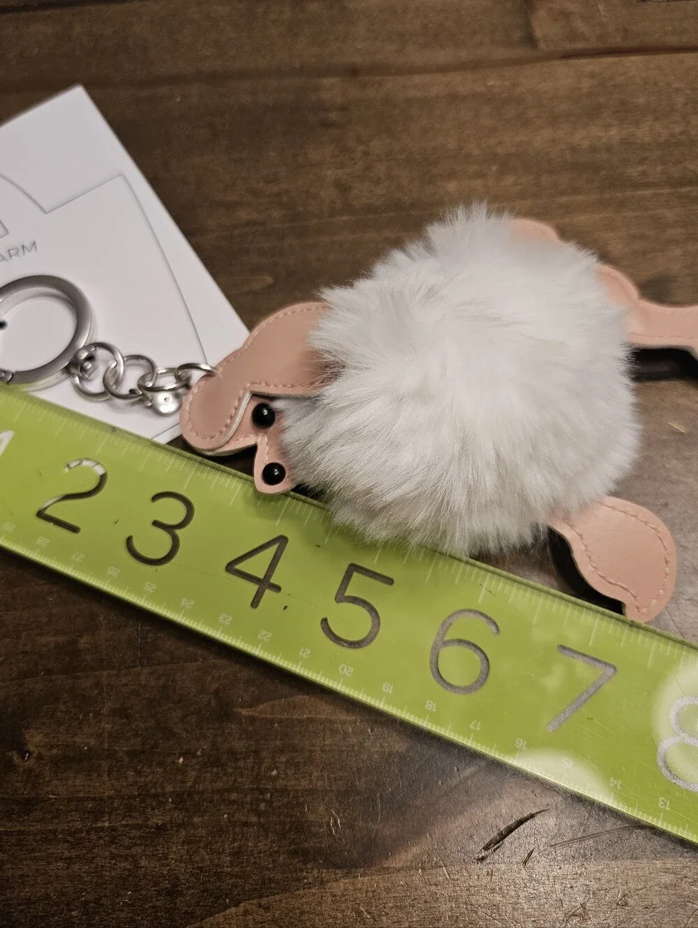 NWT Chico's Bag Charm